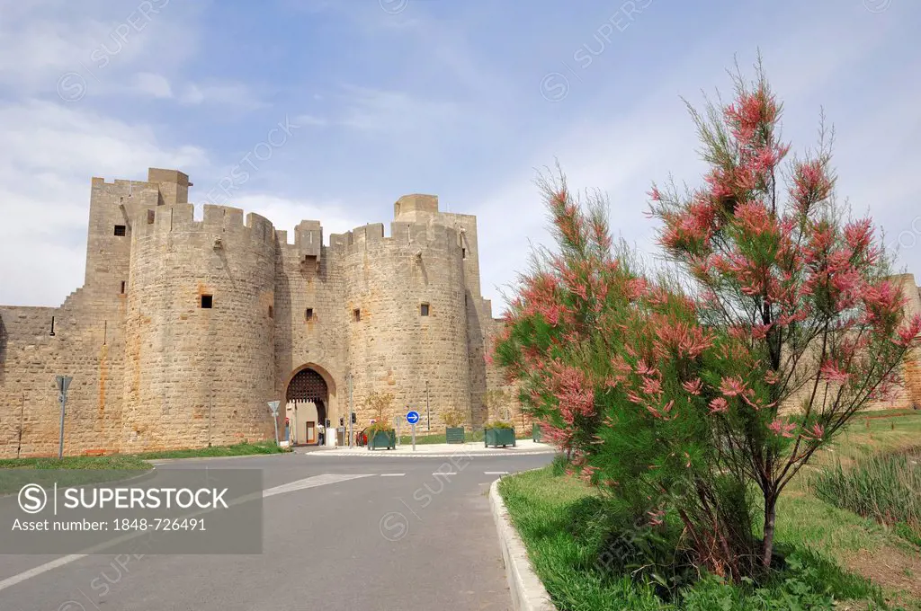 Ancient city wall, Aigues-Mortes, Camargue, Gard department, Languedoc-Roussillon region, Southern France, France, Europe, PublicGround