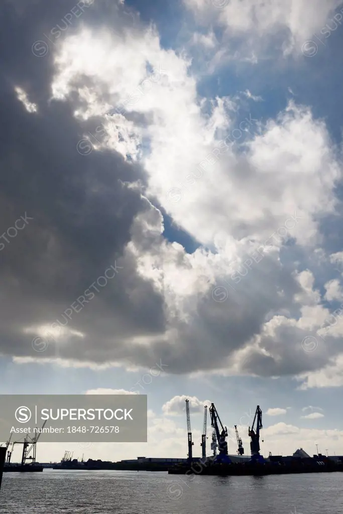 Cranes, Port, Elbe river, Hamburg, Germany, Europe