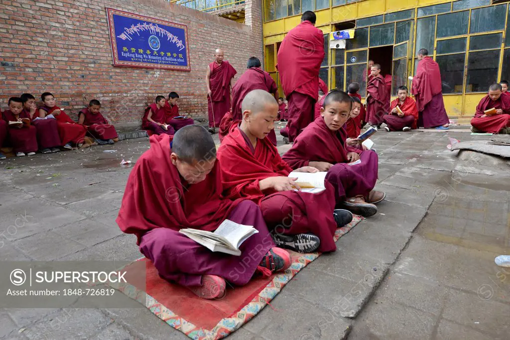 Young Tibetan novice monks in red robes reading religious texts, students at a Buddhist monastery, Tongren Monastery, Repkong, Qinghai, formerly Amdo,...