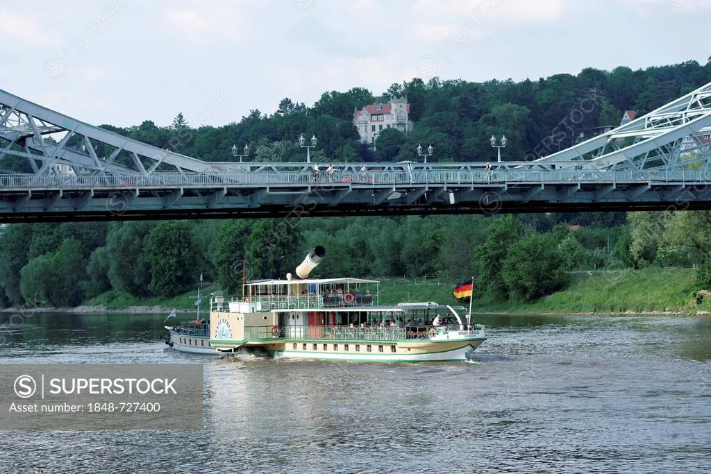 Passenger ship, Loschwitz Bridge or Blue Wonder, Elbe river, Dresden, Saxony, Germany, Europe