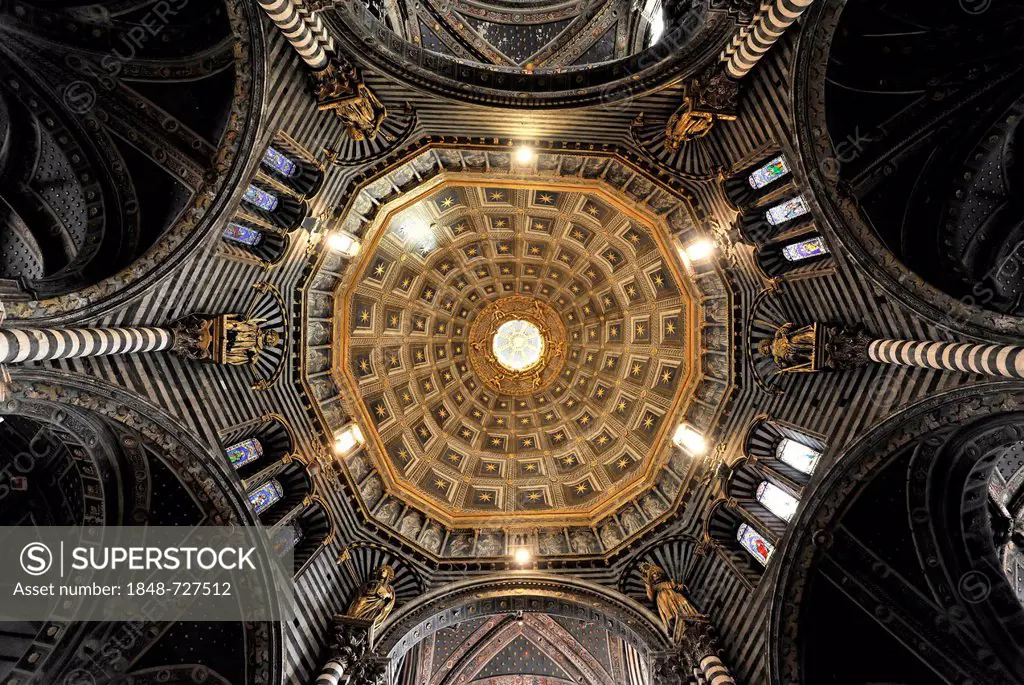 Dome of the Cathedral of Siena, Cattedrale di Santa Maria Assunta, interior view, the main church of the city of Siena, Tuscany, Italy, Europe