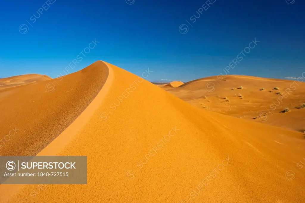 Sand dunes of Erg Chebbi, Sahara, Southern Morocco, Morocco, Africa