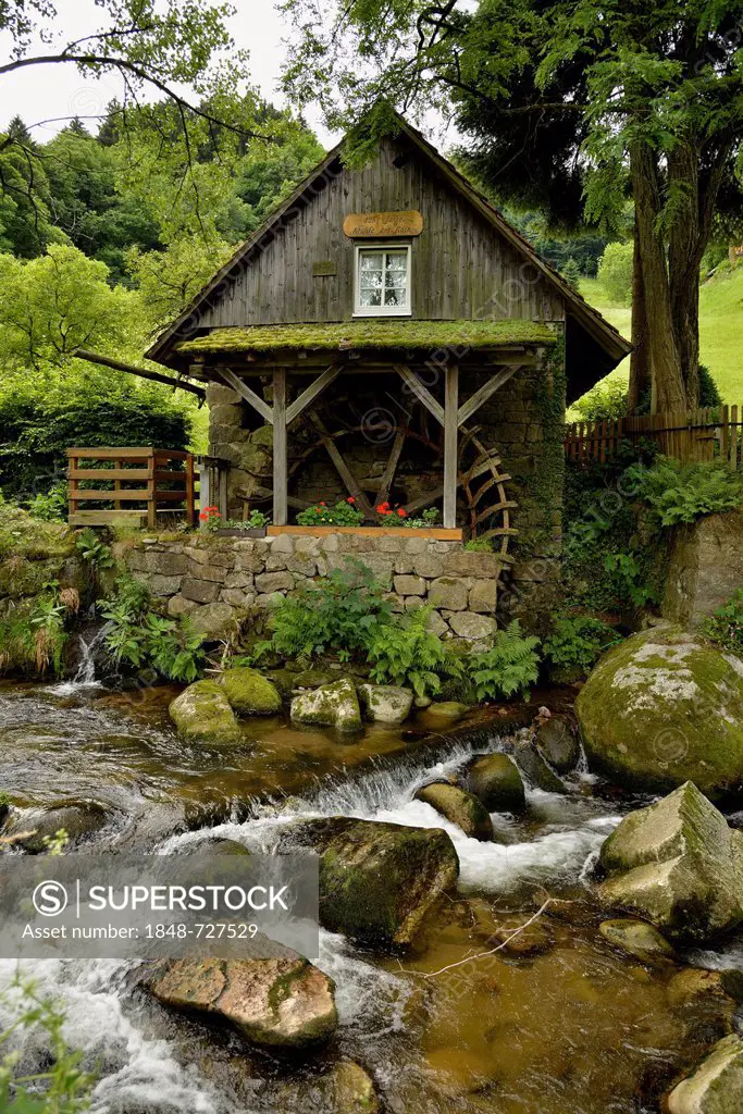 Mill on the Rain on the Acher river, Achtertal, Black Forest, Baden-Wuerttemberg, Germany, Europe