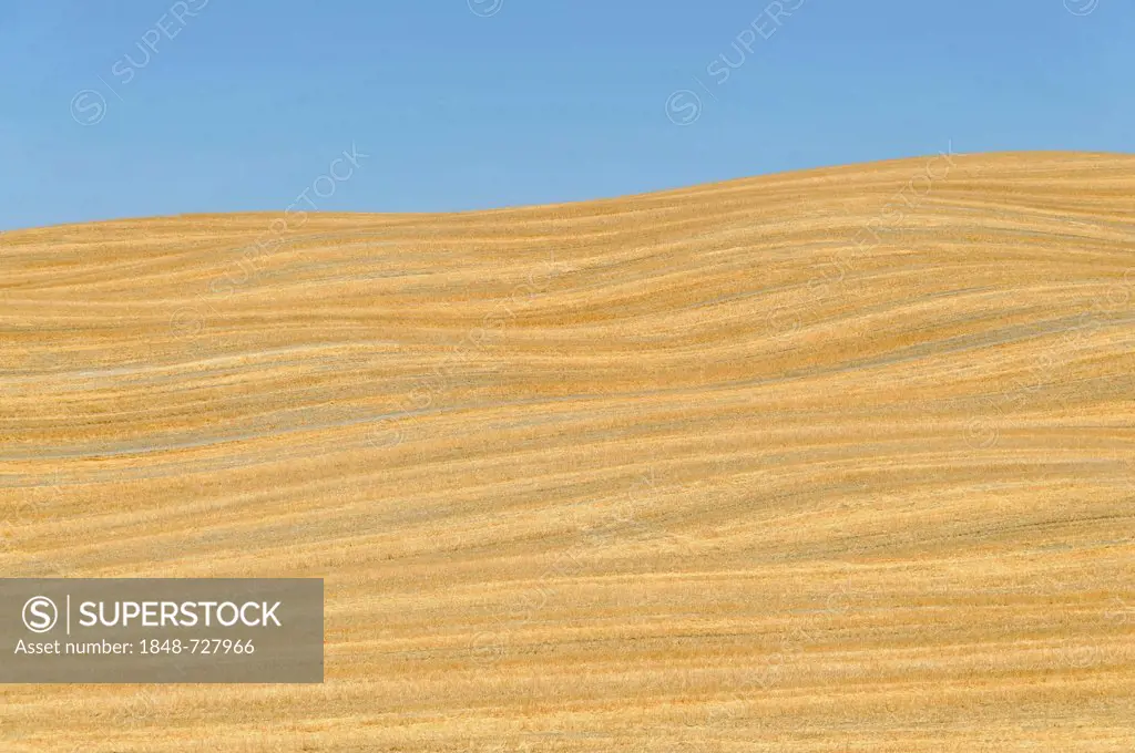 Harvested grain fields, south of Pienza, Tuscany, Italy, Europe, PublicGround