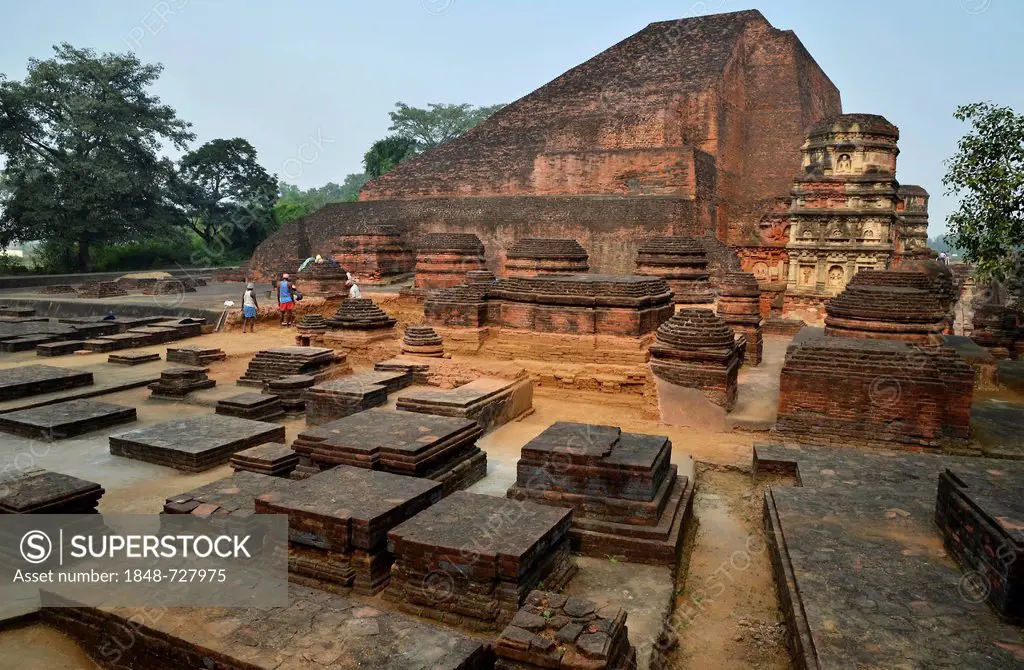 Archaeological site and an important Buddhist pilgrimage destination, the ruins of the ancient University of Nalanda, Ragir, Bihar, India, Asia
