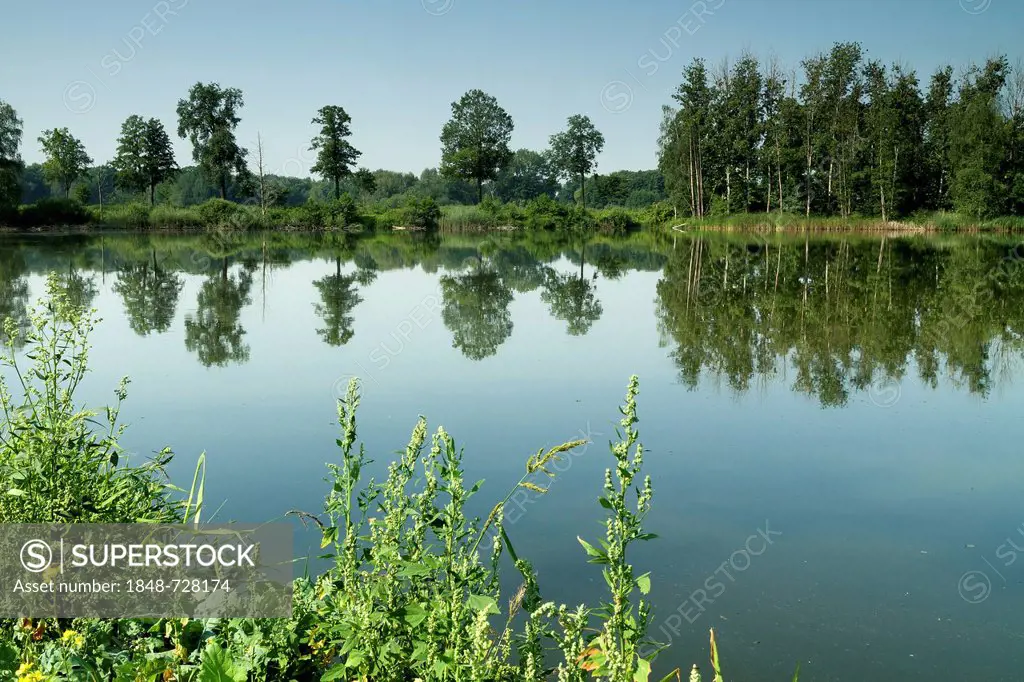 Ponds in the Upper Lusatia biosphere reserve, Saxony, Germany, Europe