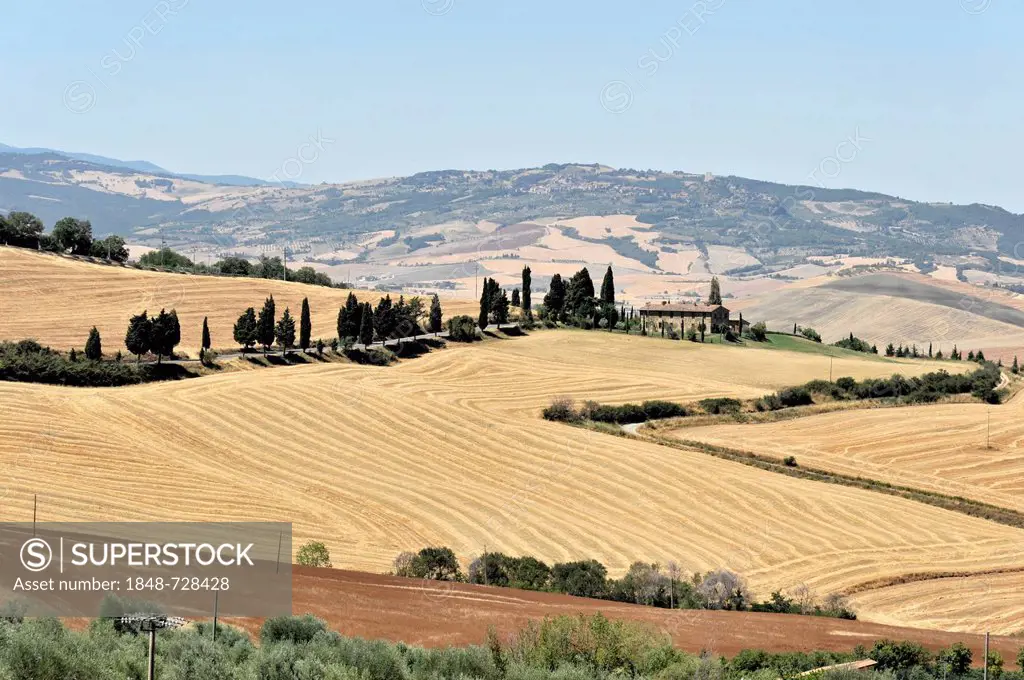 Tuscan landscape south of Pienza, Tuscany, Italy, Europe, PublicGround