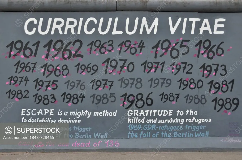 Mural, Curriculum Vitae by Susanne Kunjappu-Jellinek on the remains of the Berlin Wall, East Side Gallery, Berlin-Friedrichshain, Germany, Europe