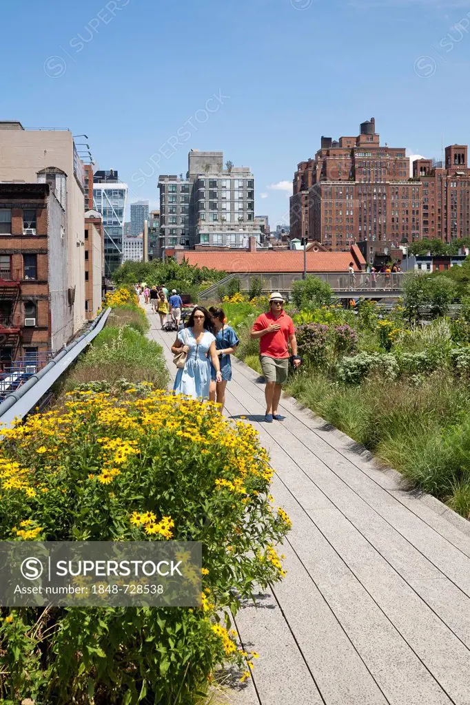 High Line Park, Lower West Side, Chelsea, Greenwich Village, Manhattan, New York City, USA