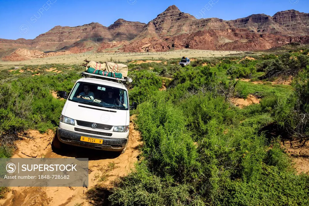 4x4 vehicle driving in the Huab, ephemeral stream, wetlands area, Damaraland, Namibia, Africa