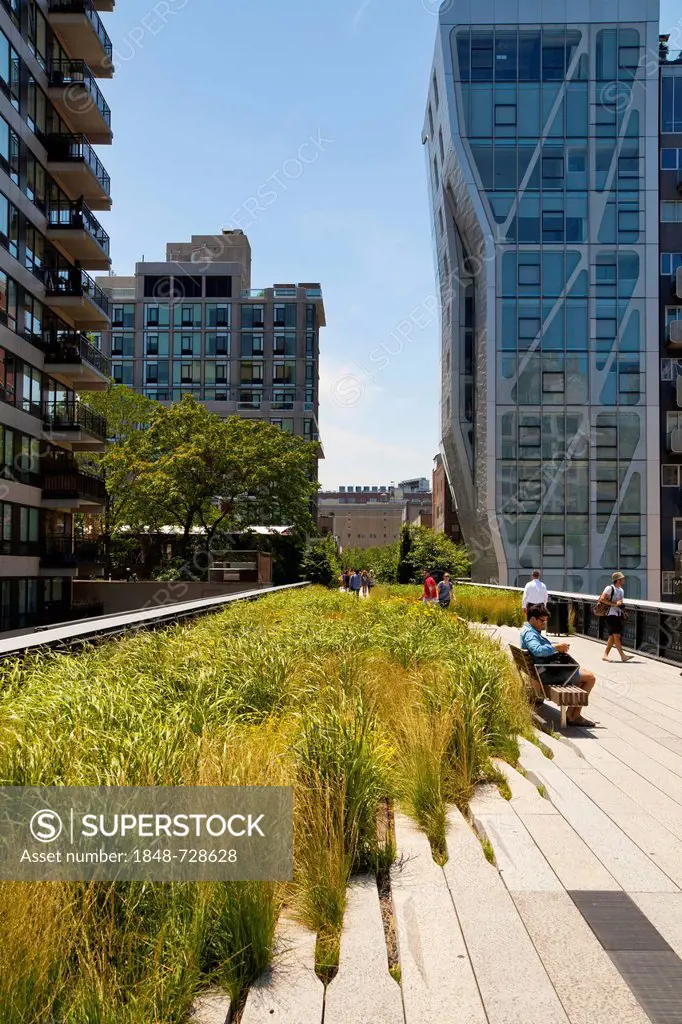 High Line Park, Lower West Side, Meatpacking District, Chelsea, Greenwich Village, Manhattan, New York City, USA