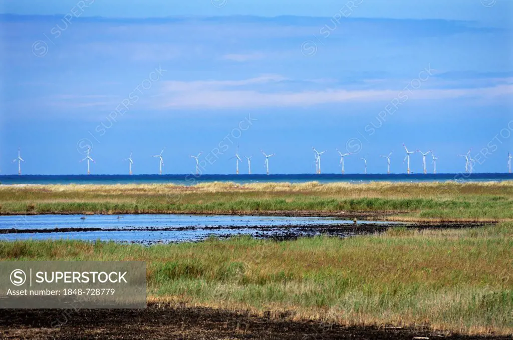 Offshore wind turbines in the Baltic Sea, nature reserve, Baltic resort of Prerow, Mecklenburg-Western Pomerania, Germany, Europe