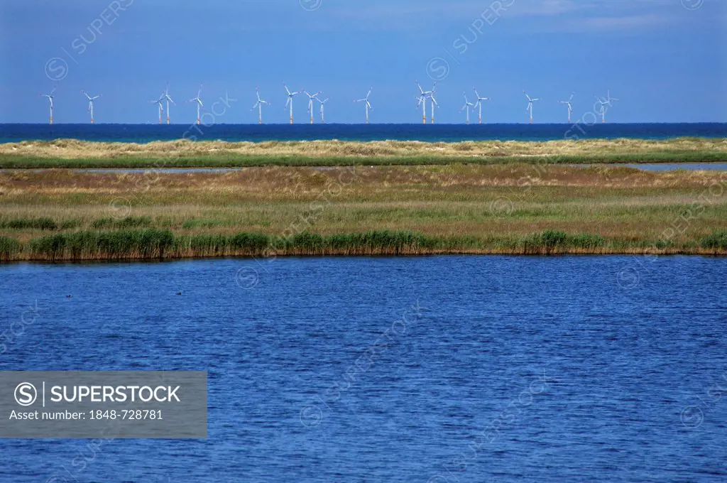 Offshore wind turbines in the Baltic Sea, coastal inlet at front, nature reserve, Baltic resort of Prerow, Mecklenburg-Western Pomerania, Germany, Eur...
