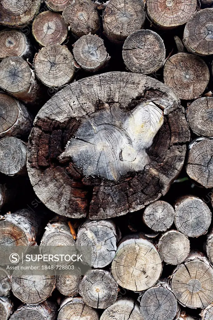 Woodpile