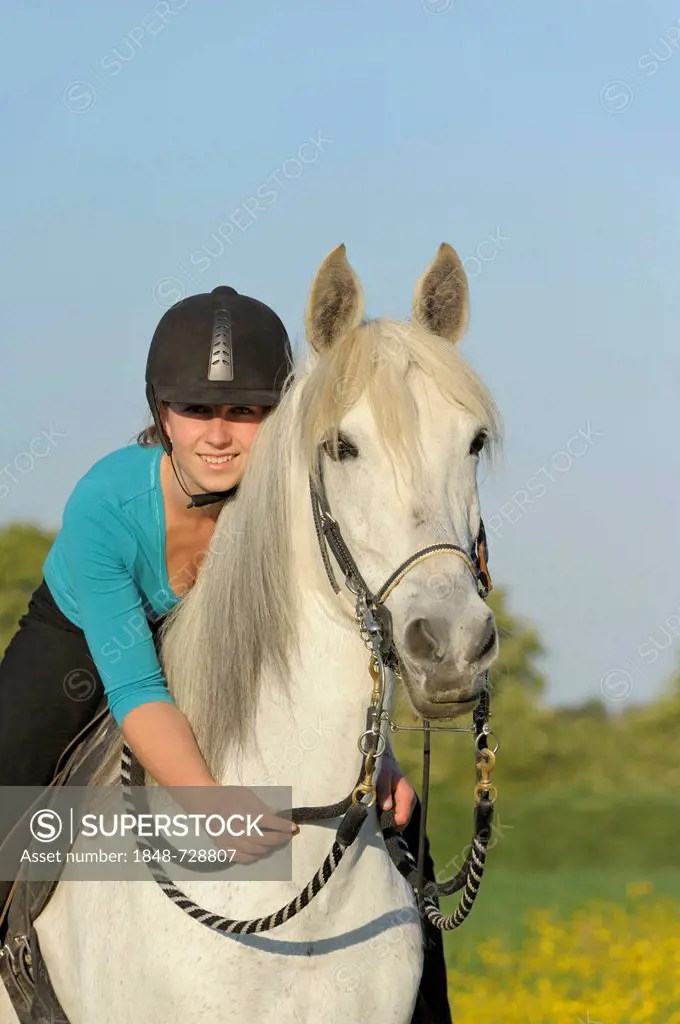 Young girl rider on horseback, Paso Fino mare, Bavaria, Germany, Europe