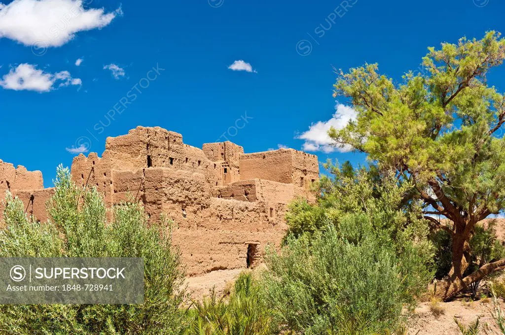 Decaying kasbah surrounded by trees and shrubs, mud fortress of the Berber people, Tighremt, lower Dades Valley, Road of the Kasbahs, southern Morocco...