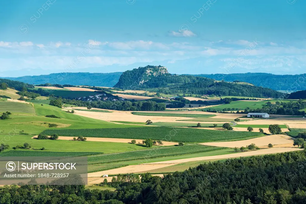 View of the Hegau landscape in summer, with ripe wheat fields and corn fields, Hohentwiel Hegau volcano at the back, Baden-Wuerttemberg, Germany, Euro...