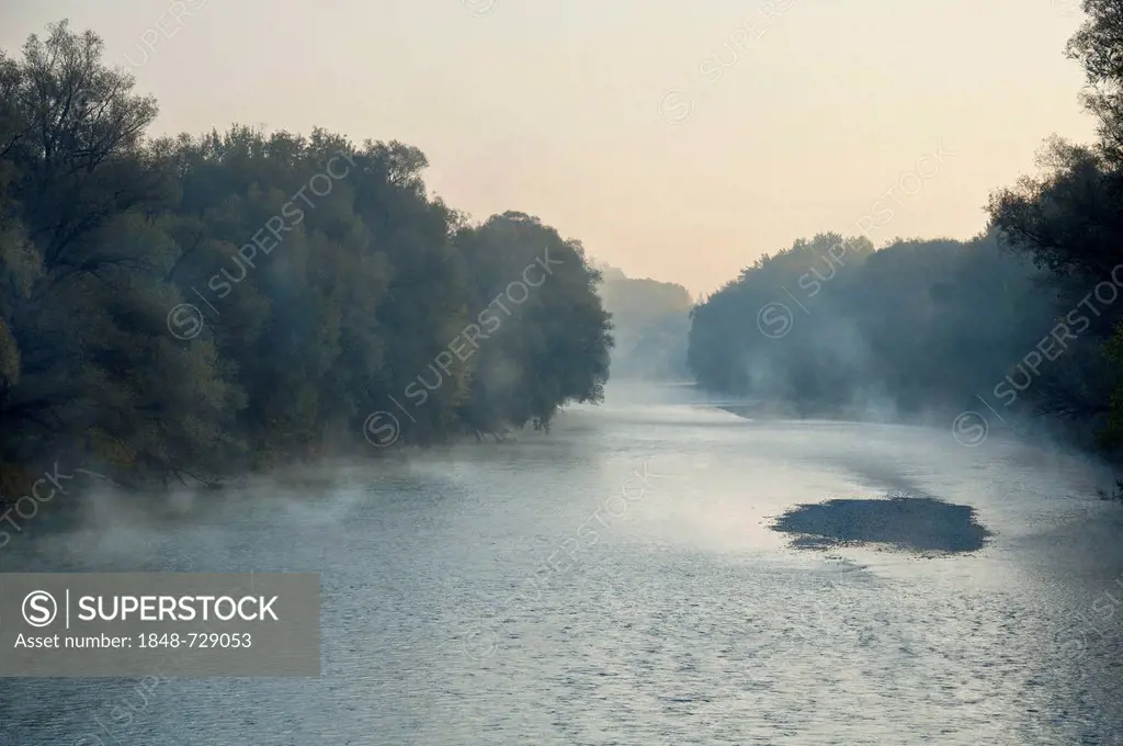 Isar river with morning mist, Isarauen Nature Reserve near Freising, Upper Bavaria, Bavaria, Germany, Europe