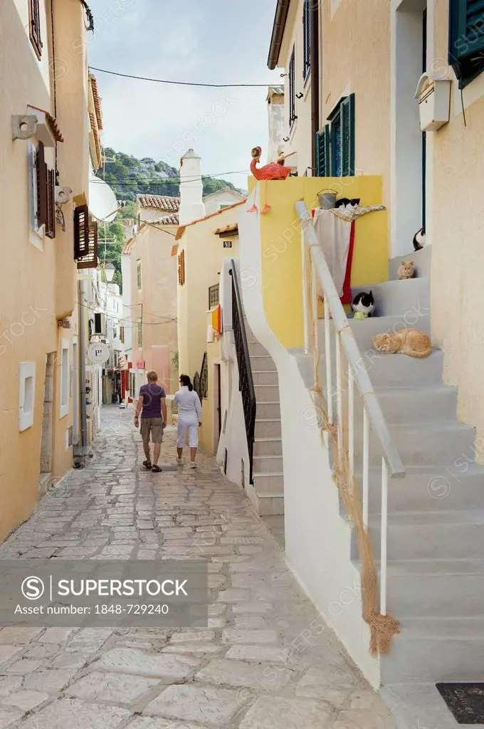 Alleyway in the old town with cats lying on the steps in the town of Baska, Krk Island, Adriatic Sea, Kvarner Gulf, Croatia, Europe
