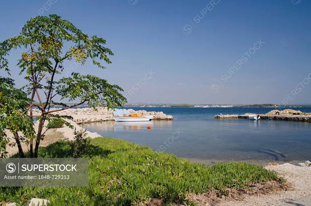 Swimming bay in front of Pasman, Pasman Island, Adriatic Sea, Zadar, Dalmatia, Croatia, Europe
