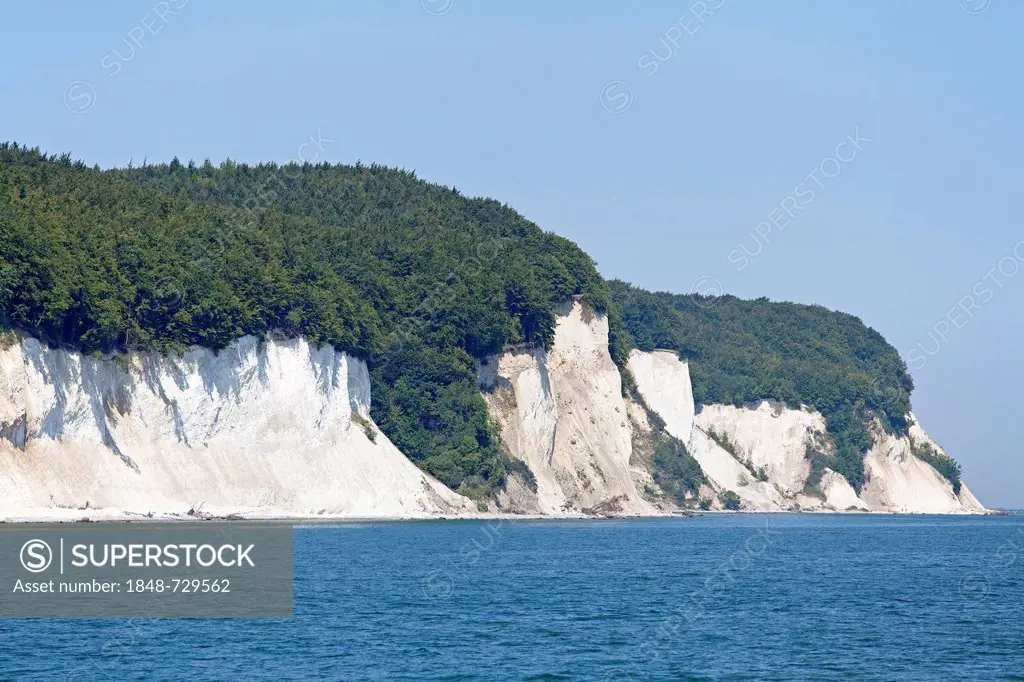 White chalk cliffs near Sassnitz, Ruegen Island, Mecklenburg-Western Pomerania, Germany, Europe