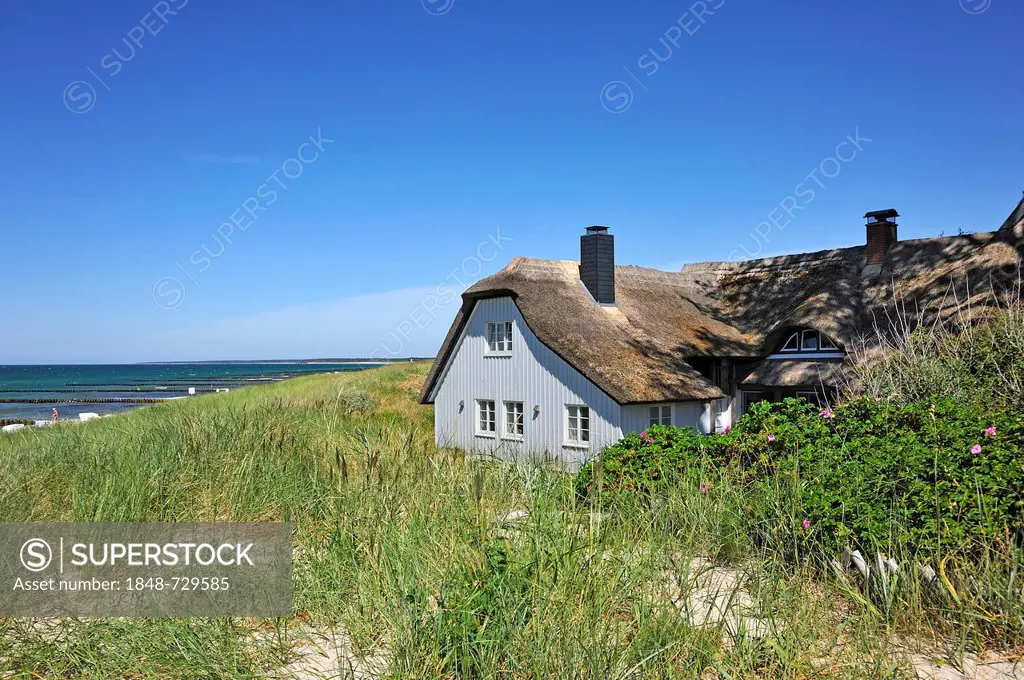 Residential house with a thatched roof in the dunes of Ahrenshoop, the Baltic Sea on the left, Darss, Mecklenburg-Western Pomerania, Germany, Europe