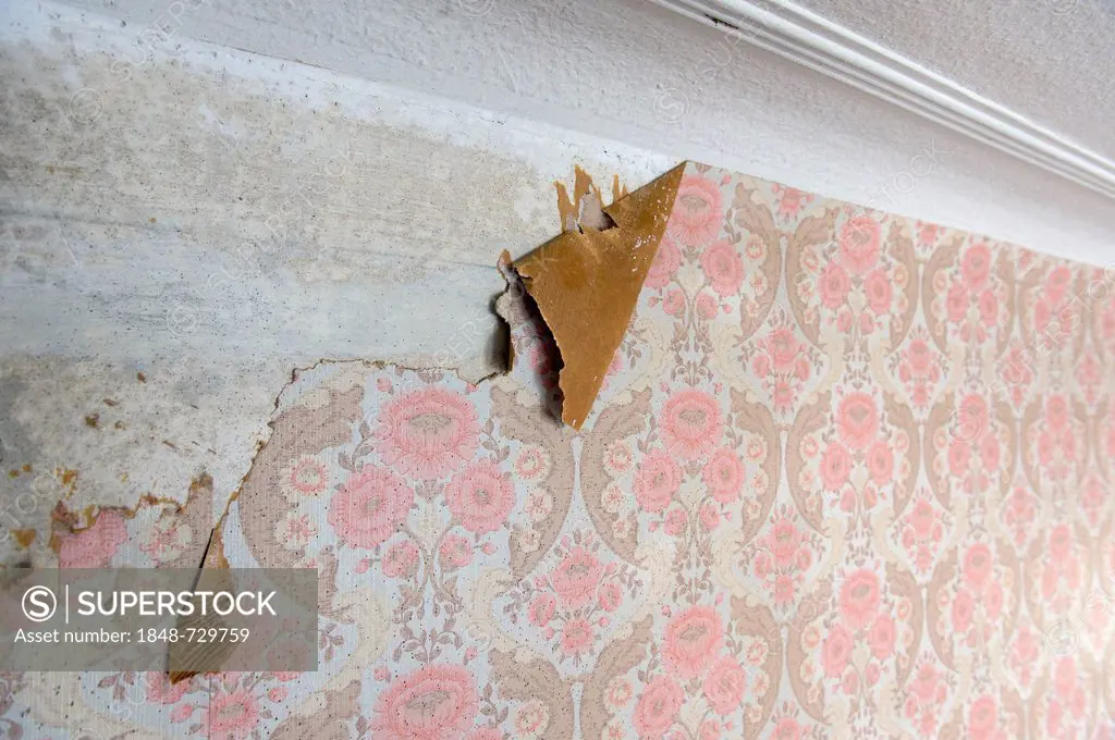 Old wallpaper from the sixties, partially torn-off, stucco ceiling, Stuttgart, Baden-Wuerttemberg, Germany, Europe