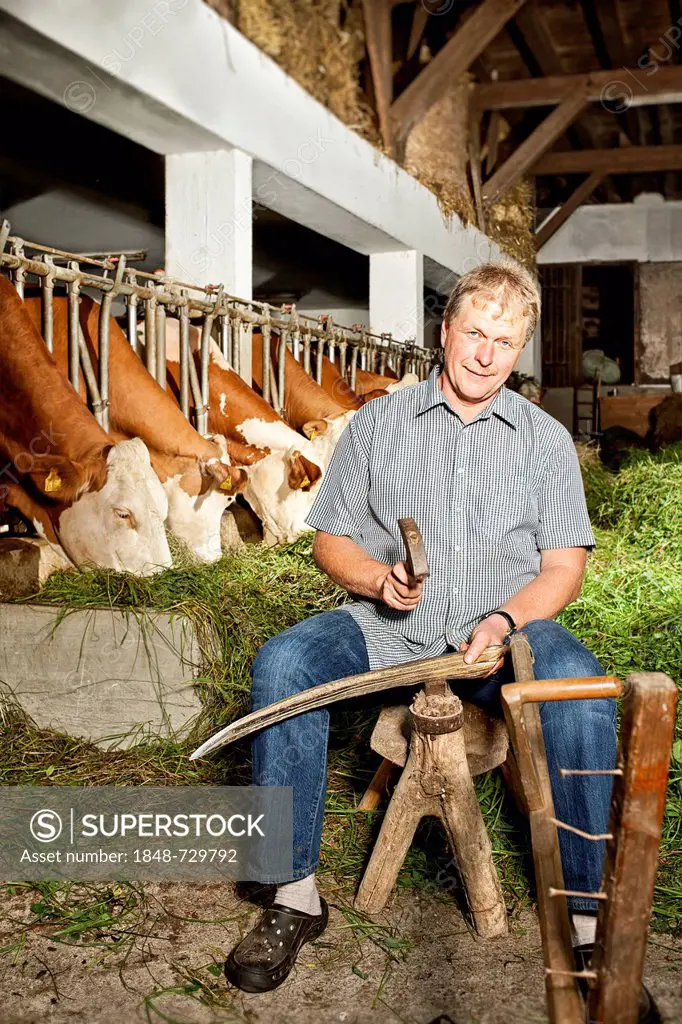 Farmer sharpening a scythe, Dengelstock, Austria, Europe