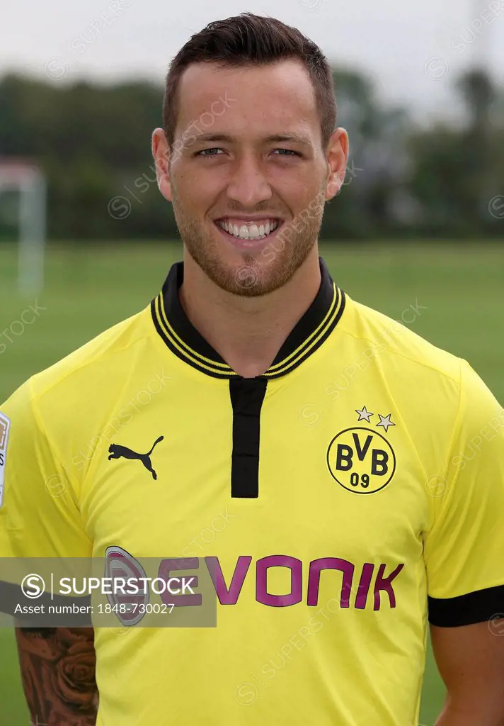 Julian Schieber, Borussia Dortmund