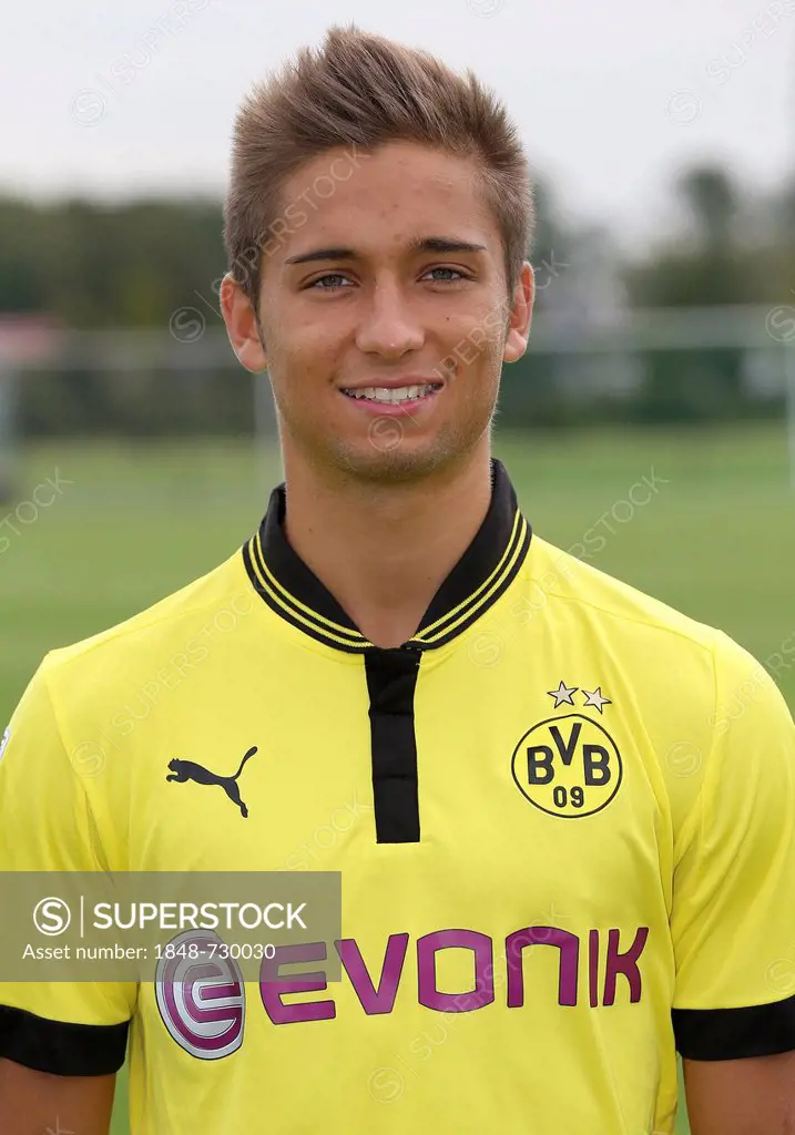 Moritz Leitner, Borussia Dortmund