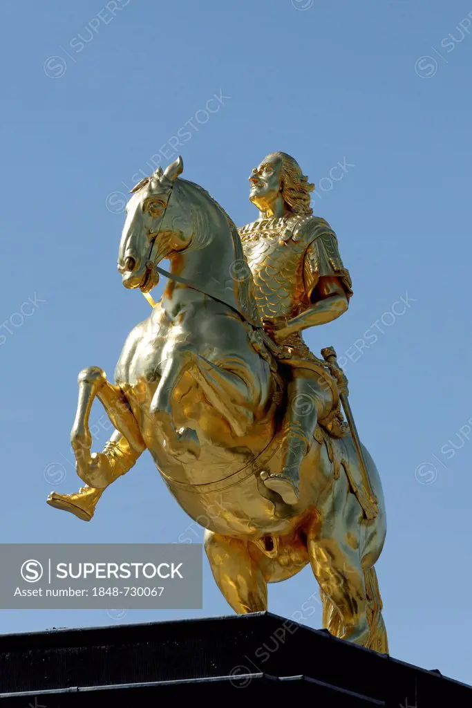 Golden horseman, Dresden, Florence of the Elbe, Saxony, Germany, Europe
