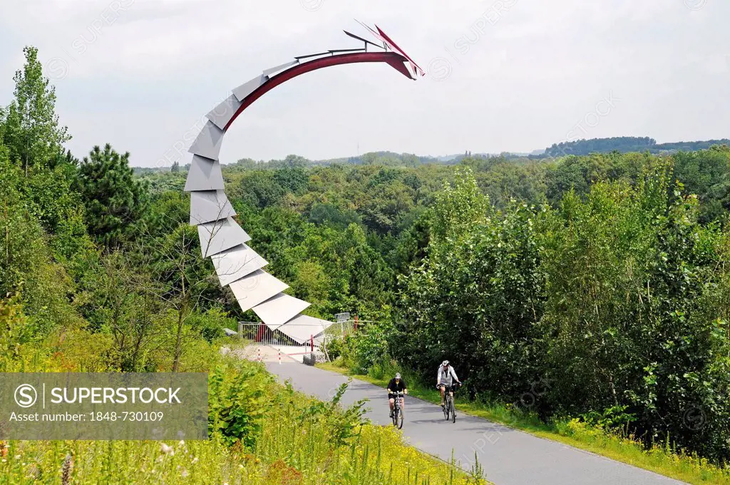 Dragon's bridge, Halde Hoheward, mine heap, landscape park, Herten, Ruhr Area, North Rhine-Westphalia, Germany, Europe