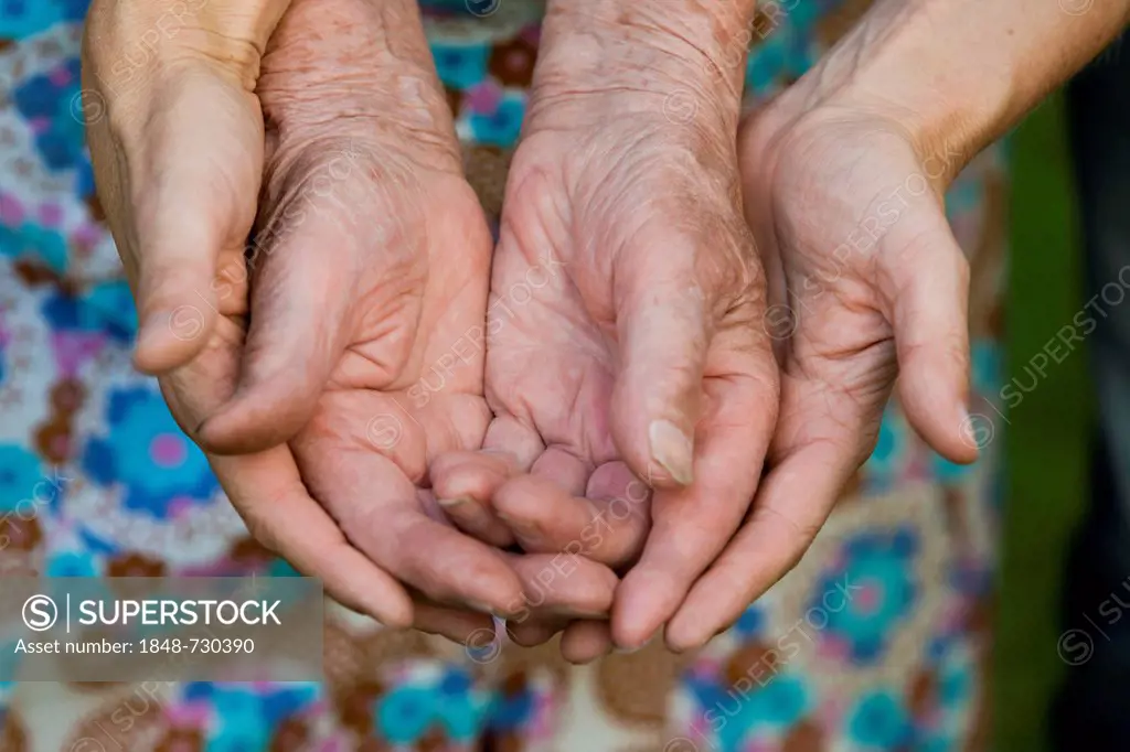 Hands of an adult and an elderly woman