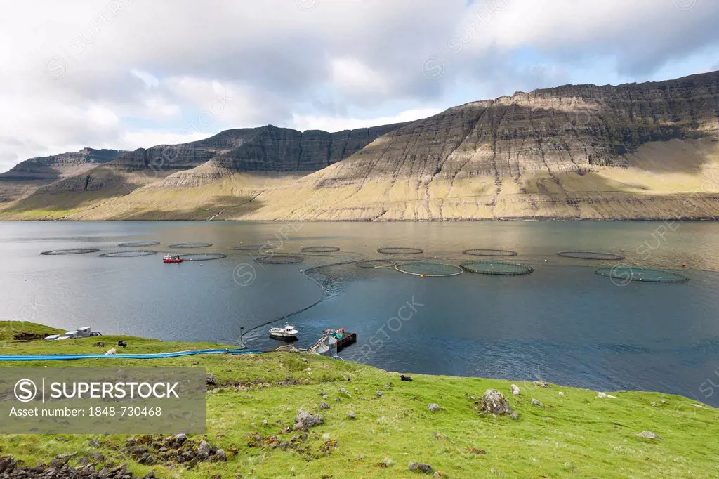 Fish farming in the fjord, Faroe Islands, Denmark, Northern Europe, Europe