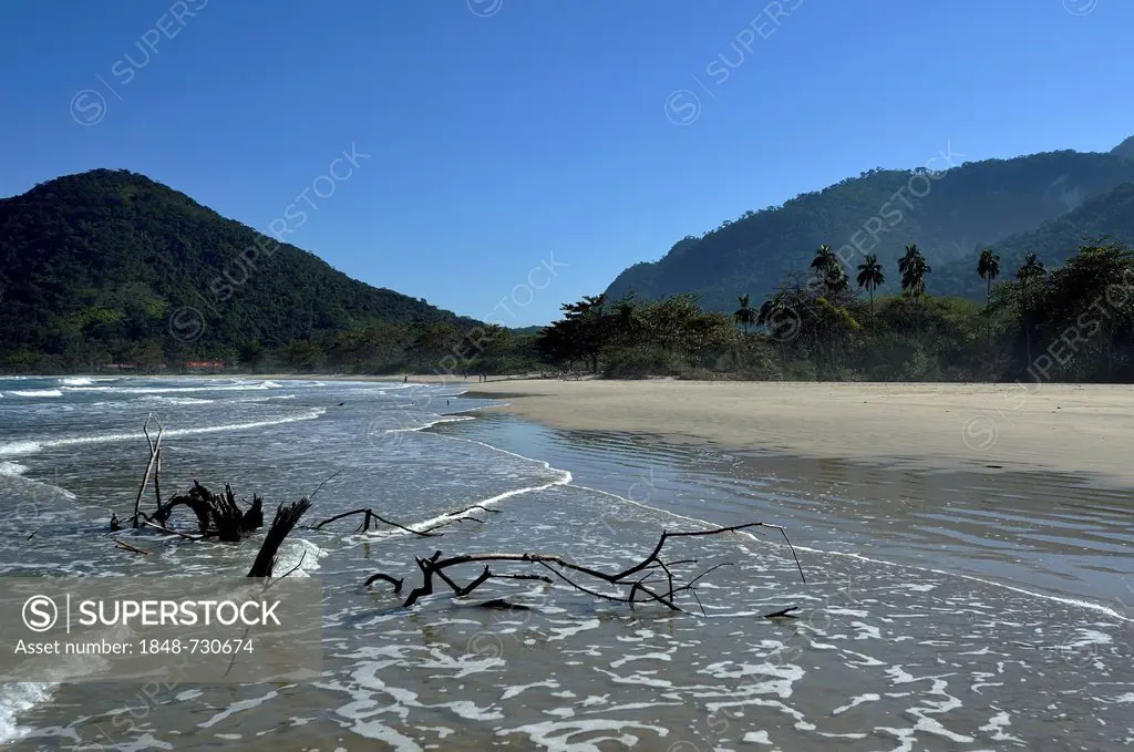 Driftwood on Dois Rios beach, Ilha Grande, state of Rio de Janeiro, Brazil, South America