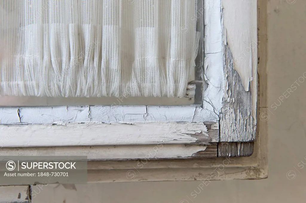 Old wooden window damaged by weathering, flaking paint, Stuttgart, Baden-Wuerttemberg, Germany, Europe