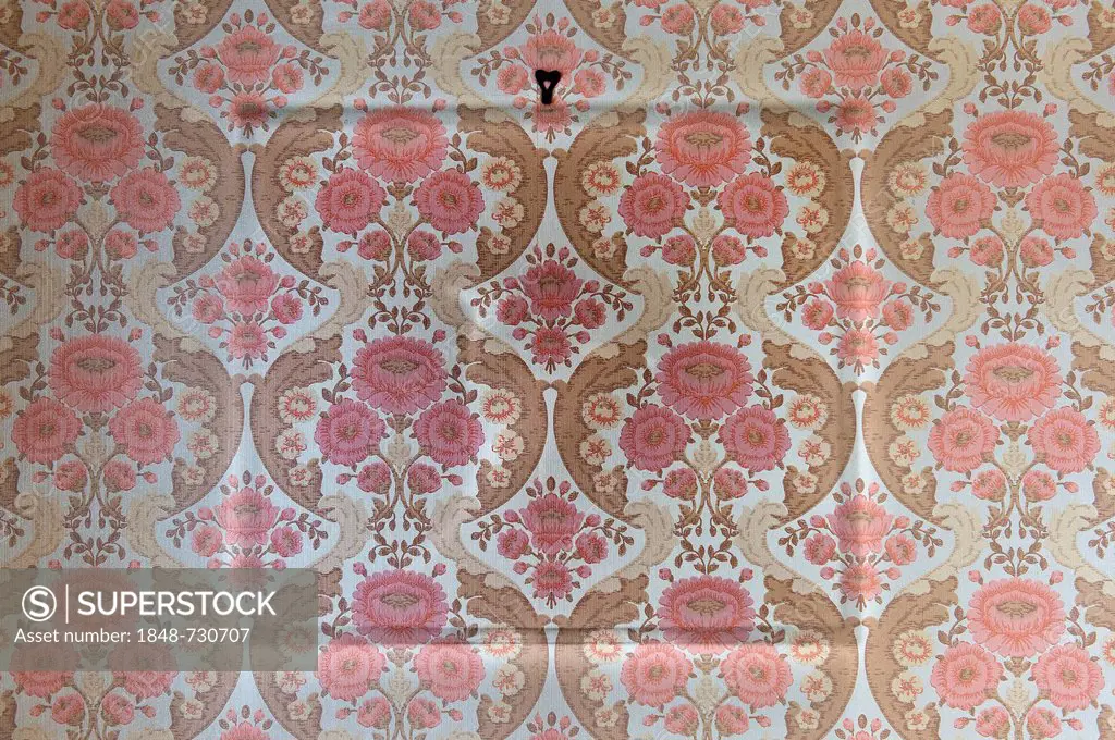 Old wallpaper from the sixties, outlines of a removed photo frame on the wall, Stuttgart, Baden-Wuerttemberg, Germany, Europe