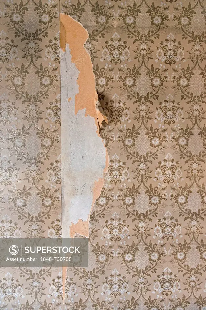 Old wallpaper from the sixties, partially torn-off, Stuttgart, Baden-Wuerttemberg, Germany, Europe