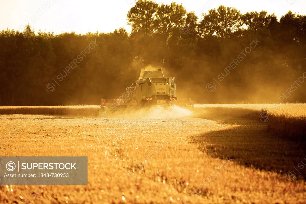 Combine harvester harvesting a field