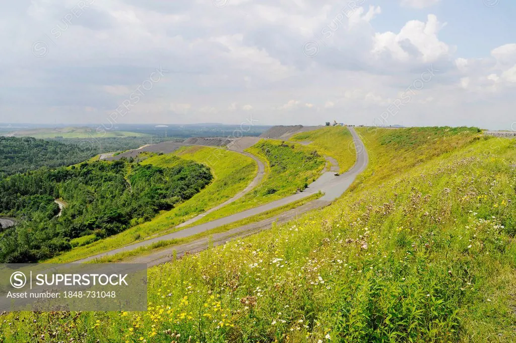 Halde Hoheward, mine heap, landscape park, Herten, Ruhr Area, North Rhine-Westphalia, Germany, Europe