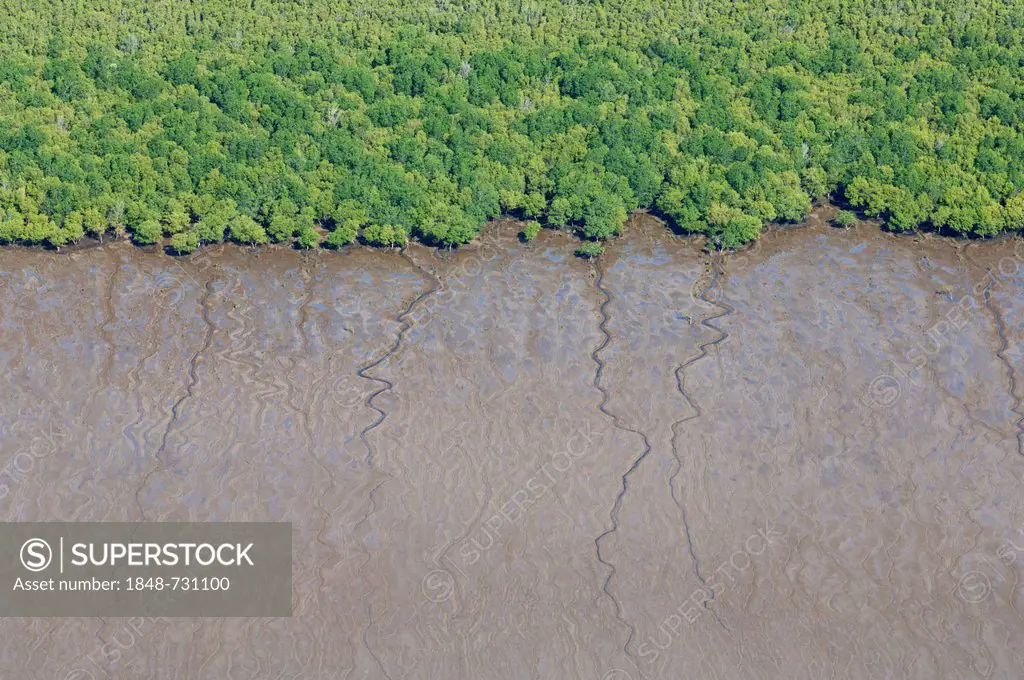 Aerial view, mangrove forest and mud flats along the coast, Pwani Region, Tanzania, Africa