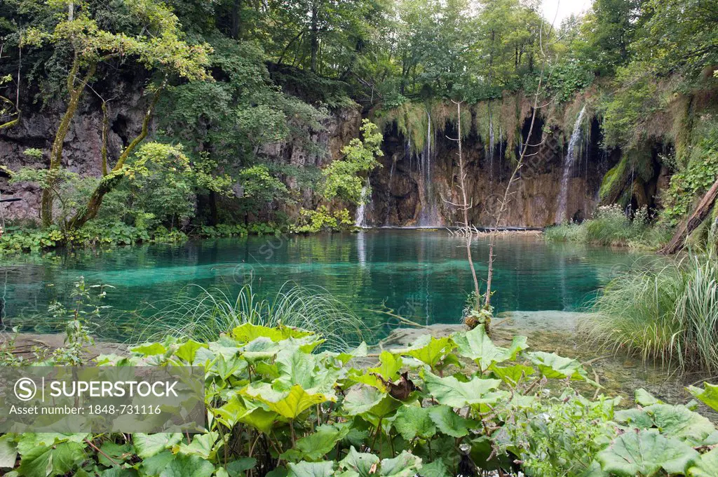 Waterfall in the Plitvice Lakes National Park, UNESCO World Heritage Site, Plitvicka Jezera, Lika-Senj, Croatia, Europe