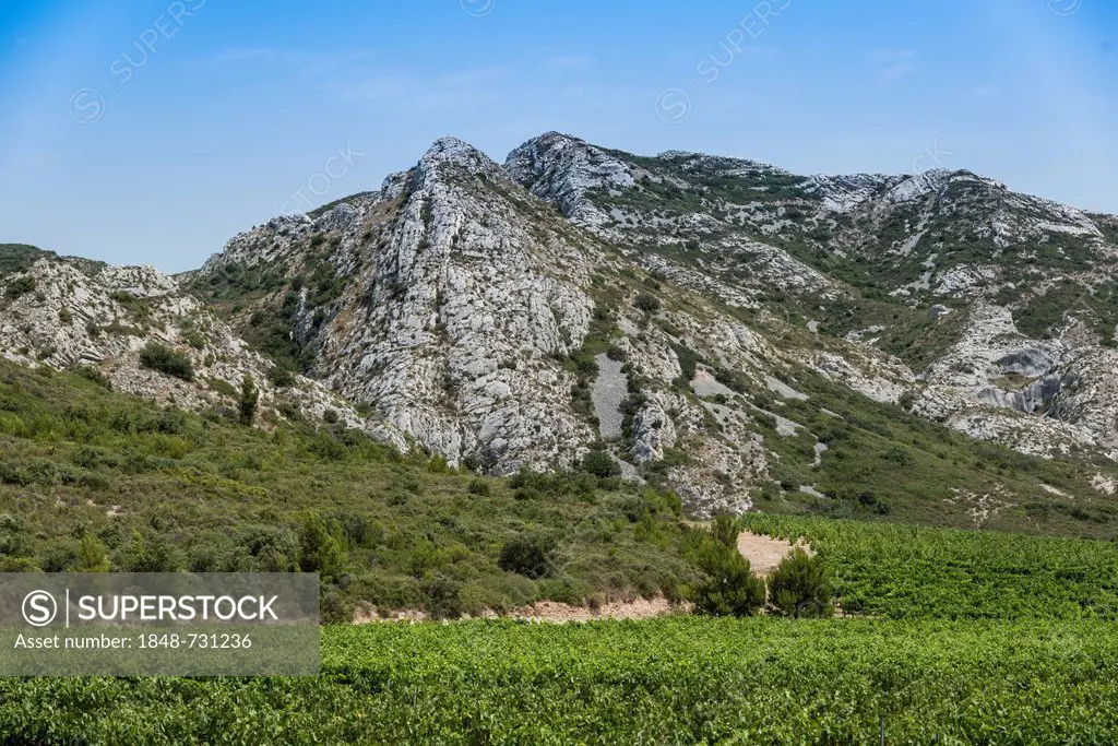 Chaîne des Alpilles, mountain range, with vineyards, Les Baux-de-Provence, Provence-Alpes-Côte dAzur, France, Europe, PublicGround