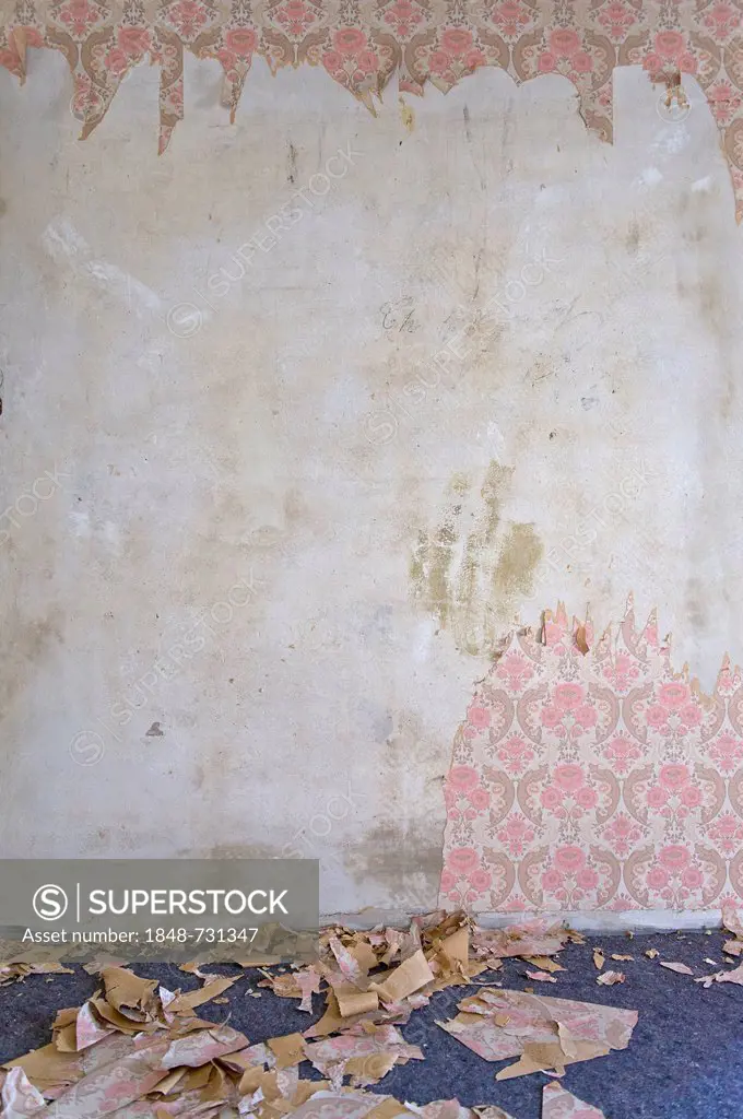 Old wallpaper from the sixties being torn and scraped off, Stuttgart, Baden-Wuerttemberg, Germany, Europe