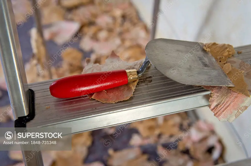 Putty knife for scraping off old wallpaper lying on a ladder, Stuttgart, Baden-Wuerttemberg, Germany, Europe