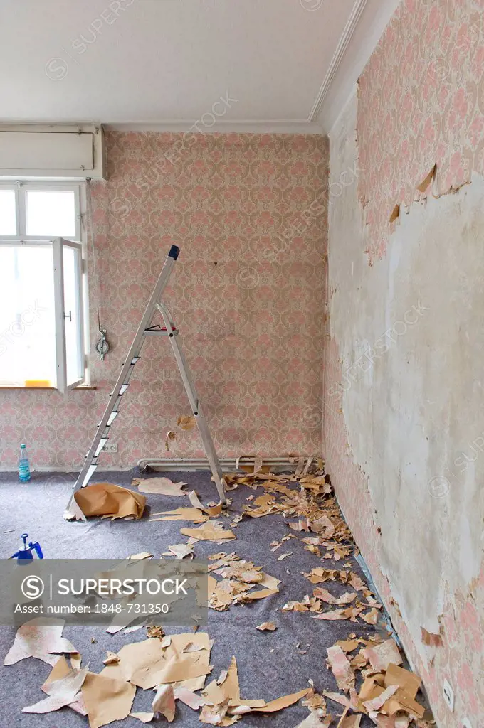 Room in an old building being renovated, old wallpaper from the sixties being removed, Stuttgart, Baden-Wuerttemberg, Germany, Europe