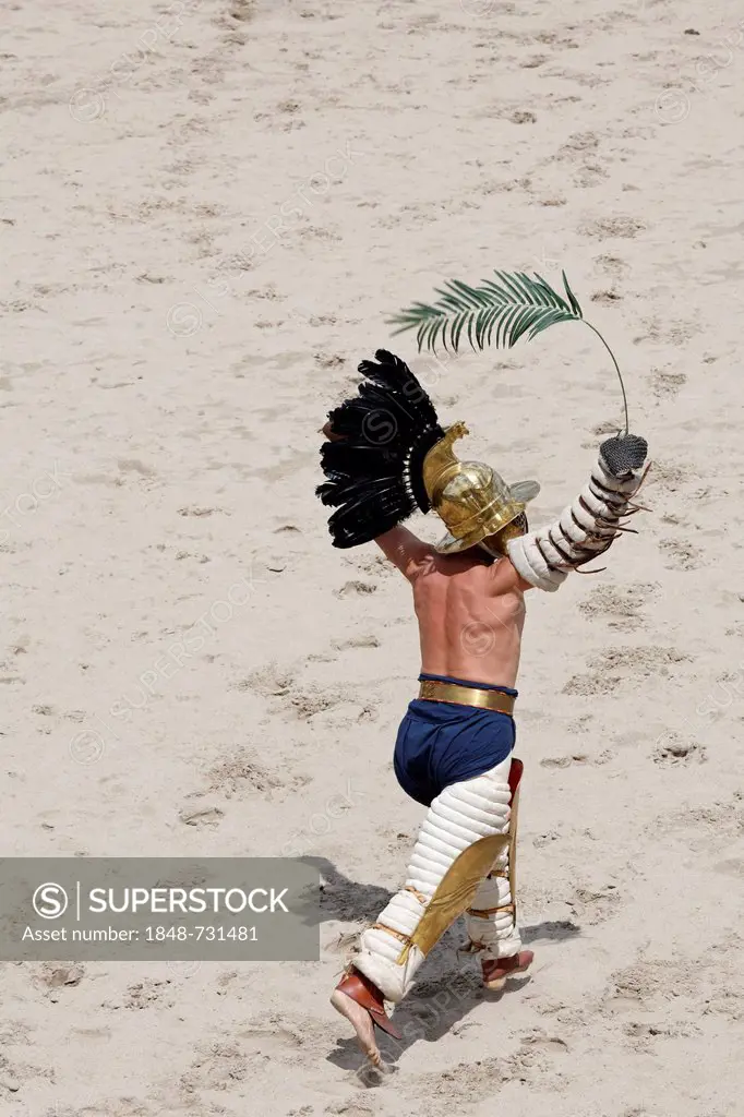 Victorious Thraex running a lap of honor waving a palm frond, a gladiator fight, exhibition fight, Familia Gladiatoria Pulli Cornicinis by Marcus Junk...