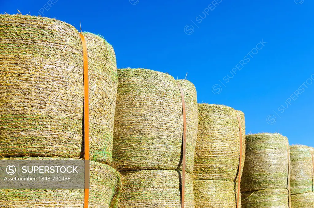 Stacked bales of straw, Grevenbroich, North Rhine-Westphalia, Germany, Europe