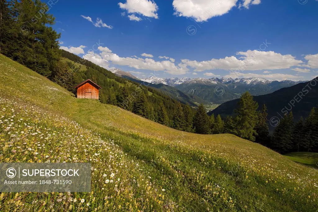 Cultural landscape with a barn, Fliess, Tyrol, Austria, Europe