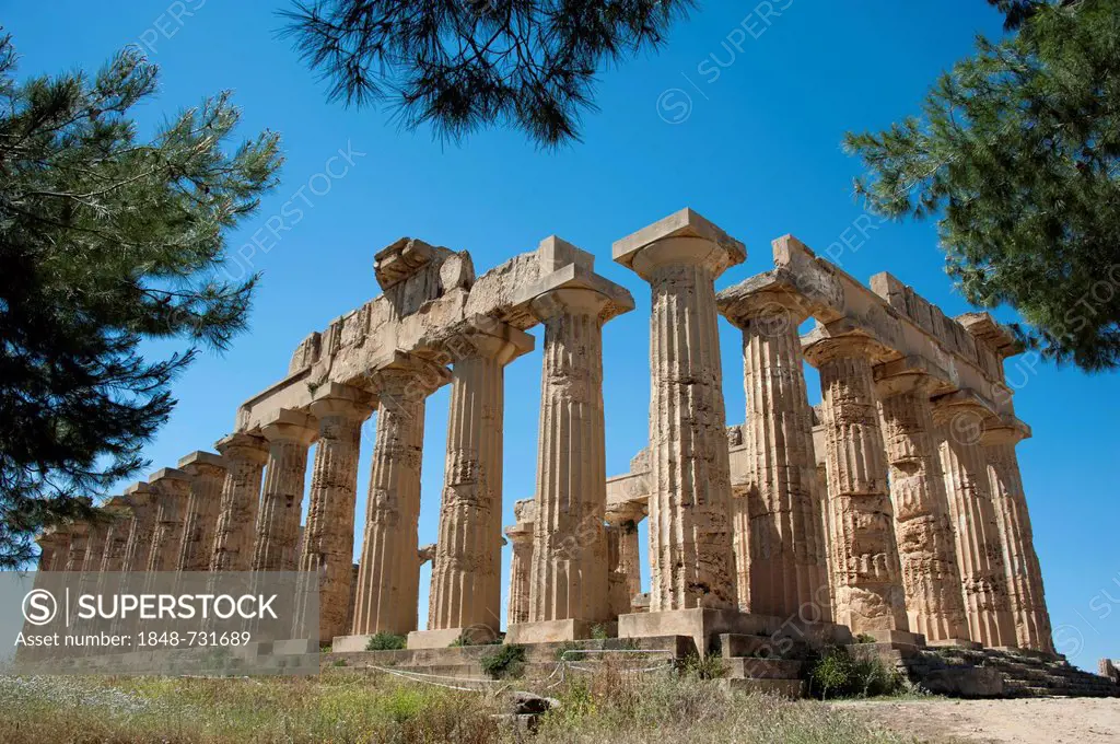 Greek Temple of Hera, Temple E, Selinunte, Sicily, Italy, Europe